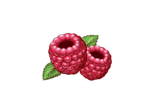 raspberries 2